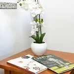 Jardins Da Rocha * ポルティマン